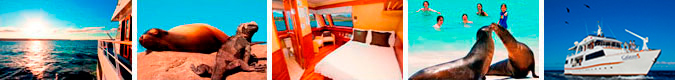 Galaven Yacht
