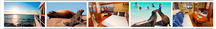 Galaven I Yacht