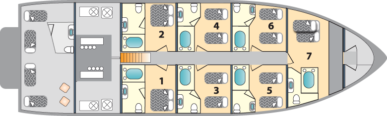 Lower Deck