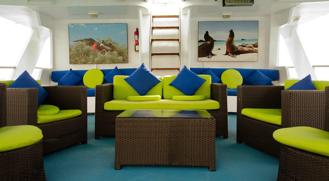 Accommodation for 20 passengers