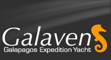 Galaven